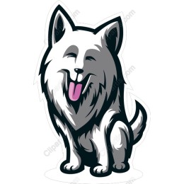 Charming Samoyed Dog