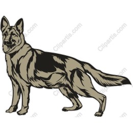 German Shepherd