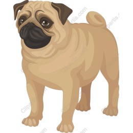 Pug Charm