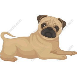 Charming Pug