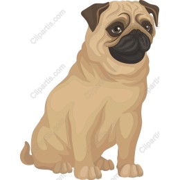 Pug - Playful Dog Clipart in and