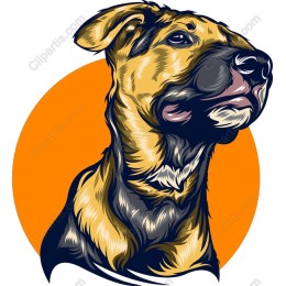 Proud Dog