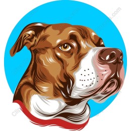 Vibrant Dog Head