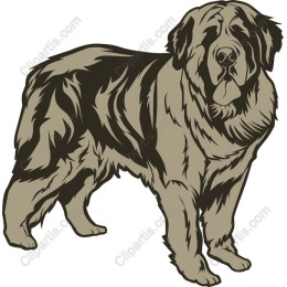 Majestic Dog