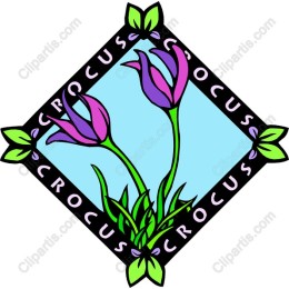 Crocus Flower