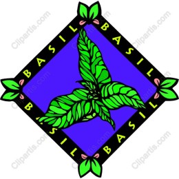 Vibrant Basil Leaf