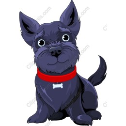 Cute Black Dog