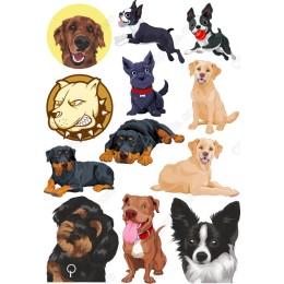 Dog Bundle: of Beloved Breeds