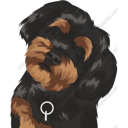 Adorable Dog