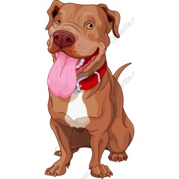Playful Pit Bull