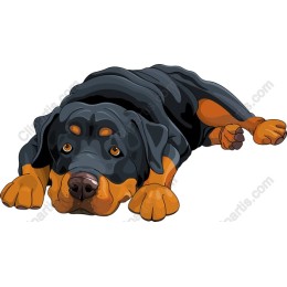 Rottweiler Relaxed Pose