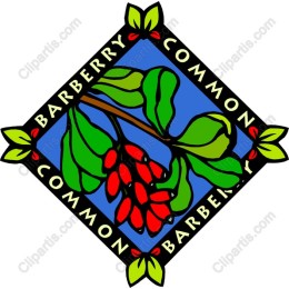 Barberry Common