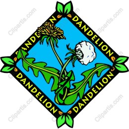 Dandelion Delight