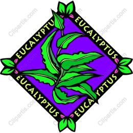 Eucalyptuswork