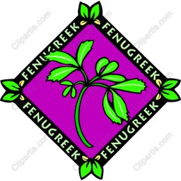 Fenugreek Leaf
