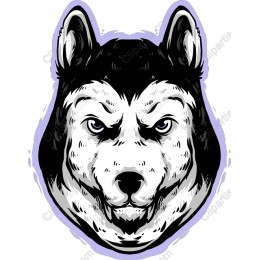 Majestic Siberian Husky
