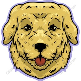 Golden Retriever Head