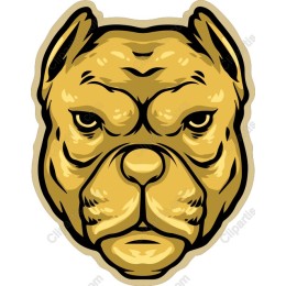 Golden Pit Bull Dog Head