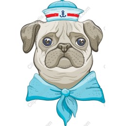 Sailor Pug