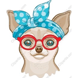 Charming Chihuahua with Glasses and Headband