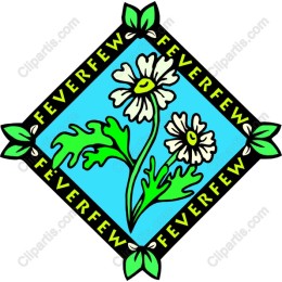 Feverfew Floral