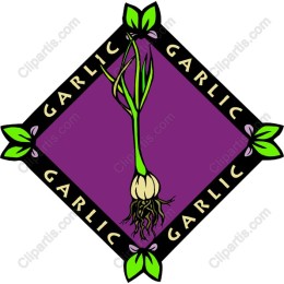 Vibrant Garlic