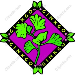 Ginkgo Leaf