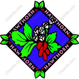 Hawthorn Floral