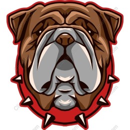 Fierce Bulldog