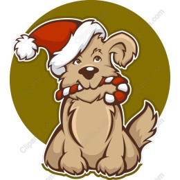 Puppy in Santa Hat