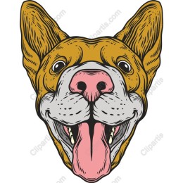 Joyful Dog Face