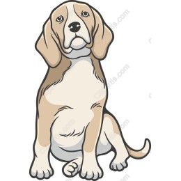 Adorable Beagle