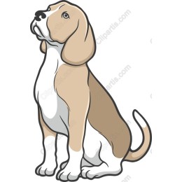 Charming Beagle