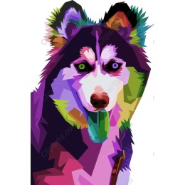 Colorful Husky Dog