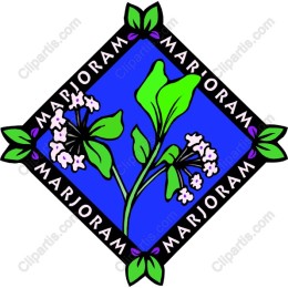 Marjoram Botanical