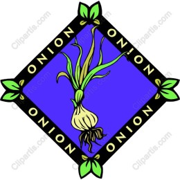 Vibrant Onion