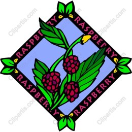 Raspberry Delight