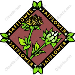 Safflower Floral