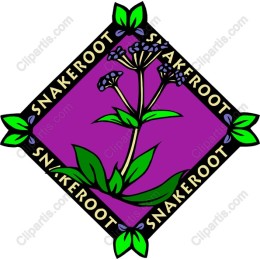 Snakeroot Botanical