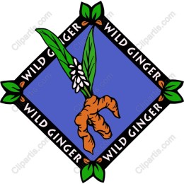 Wild Ginger