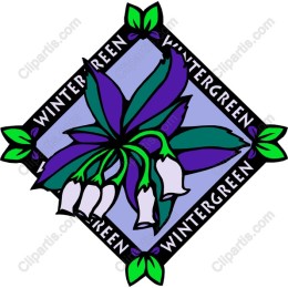 Wintergreen Floral