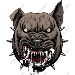 Fierce Pit Bull