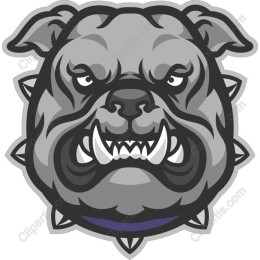 Fierce Bulldog