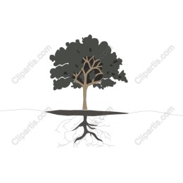 Majestic Tree
