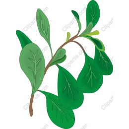 Lush Green Leaves