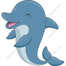 Playful Dolphin