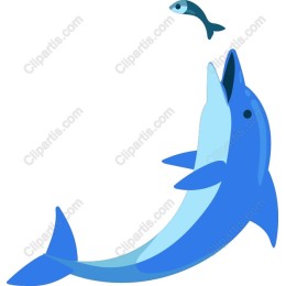 Leap of Joy: Dolphin