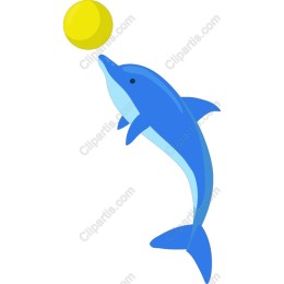 Playful Dolphin with Ball