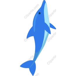 Vibrant Blue Dolphin