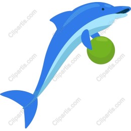 Playful Dolphin